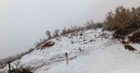 Silvan beyaza büründü