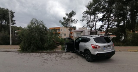Kontrolden çıkan araç kaldırımdaki ağacı yerinden söktü: 1 yaralı