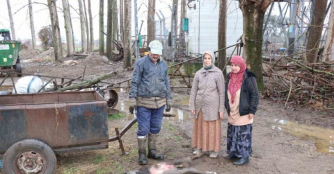 Buzağısının sokak köpekleri tarafından parçalandığını iddia etti