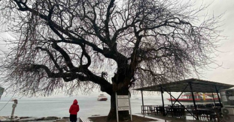İzmit Körfezi’nin dibinde, 4 buçuk asırdır ayakta duruyor