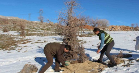 Siirt’te yaban hayvanları unutulmadı, birçok noktaya yem bırakıldı