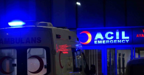 Van’da köpek saldırısına uğrayan küçük çocuk hayatını kaybetti