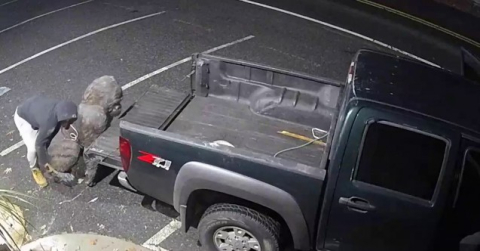 Antika dükkanından goril heykeli çaldı