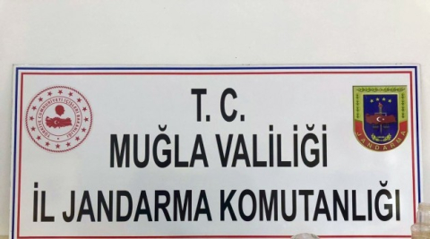 Jandarmadan uyuşturucu partisine baskın