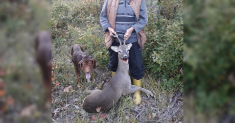 Karacayı avlayan şahsa 15 bin TL ceza