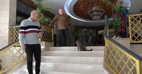 Unutulan kedi otelin maskotu oldu