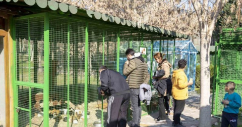 Yarıyıl tatilinde Tarsus Doğa Parkı’na yoğun ilgi