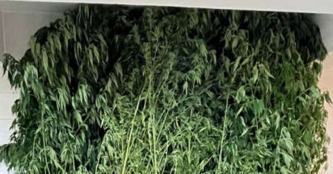 Jandarma uyuşturucuya geçit vermiyor: 2 gözaltı