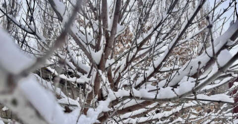 Ağrı’da kış manzarası göz kamaştırıyor