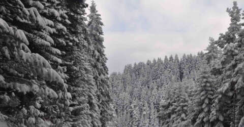 Bolu’da kartpostallık kış manzarası