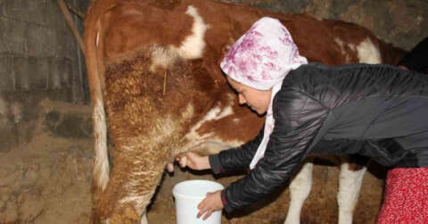 Fransız turist çift köy hayatını yaşadı