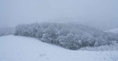 Samsun’un yüksek kesimlerinde kar kalınlığı 44 cm