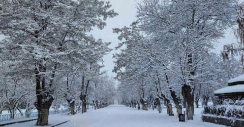 Tatvan’da masalsı kar manzaraları