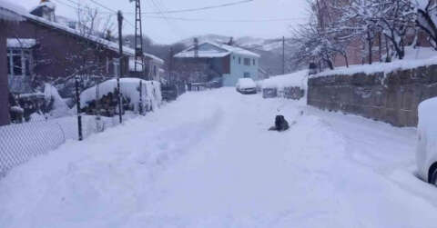 Tunceli’de 251 köy yolu ulaşıma kapandı
