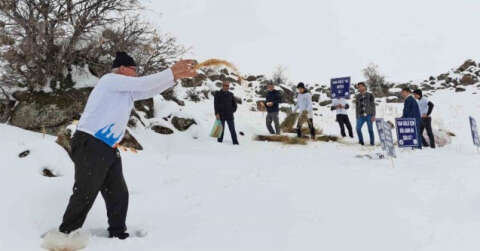 Yaban hayvanları için Süphan Dağı eteklerine yem bırakıldı