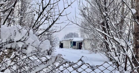 Ağrı’da 321 köy yolu kar nedeniyle ulaşıma kapandı
