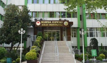 Bursa Orman Bölge Müdürlüğü’nden ihale duyurusu