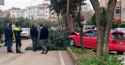 Bursa'da alkollü sürücü önce araca sonra ağaca çarptı