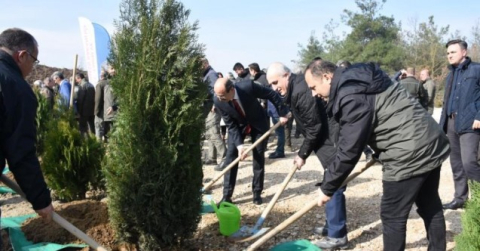 Bursa'da  depremde hayatını kaybedenlerin anısına 8 bin fidan