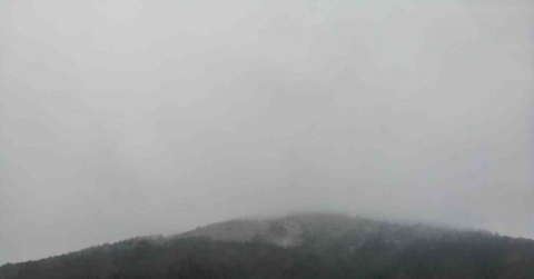 İstanbul’a ’Mart Karı’ yağdı, Aydos Ormanı beyaza büründü