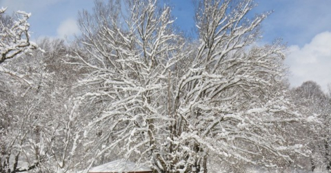 Göktepe Yaylasındaki kar manzaraları görenleri mest ediyor