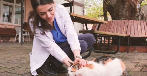 Gürsu'nun yaramaz 'Karahıdır'ı