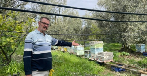 Bursa'da hırsızlar içi bal ve arı dolu 14 kovanı çalıp kaçtı