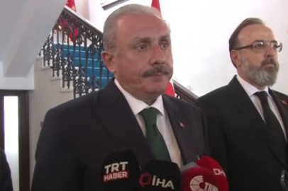 Şentop: 'Gülerek gaz gelecek diye anlatan siyasetçiler vardı'