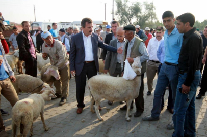 Hayvan hareketleri kısıtlaması 28 Nisan'da kaldırılacak