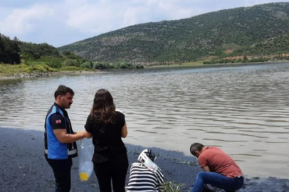Bursa'da barajdaki su yüzeyinin siyah renge bürünmesi vatandaşları tedirgin etti