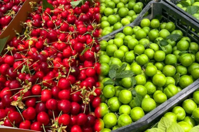 Bursa’nın meşhur erik ve kirazı halde yerini aldı