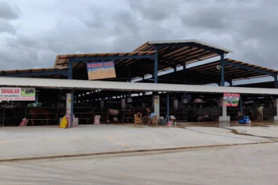 Bursa'da şap hastalığı kontrol altına alındı