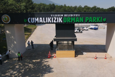 Bursa'nın 700 yıllık Osmanlı Köyü'ne devasa Orman Parkı