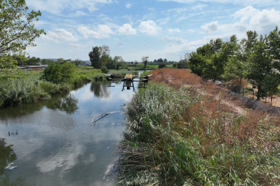 Bursa'da drone ile sinek avı