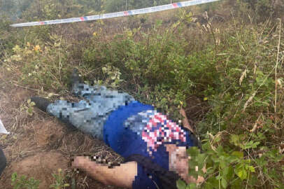 Bursa’da çalıları ateşi verdi, dumandan zehirlenerek hayatını kaybetti