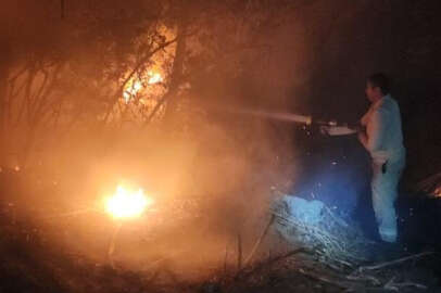 İzmir'de ormanlık alanda yangın