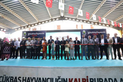 İnegöl’de 3. Küçükbaş Hayvancılık Festivali başladı