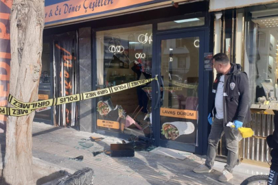 İki kardeşin kavgası kanlı bitti