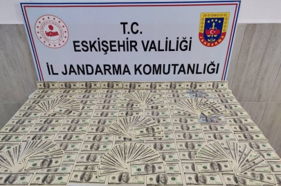 Milyonluk sahte dolar operasyonu