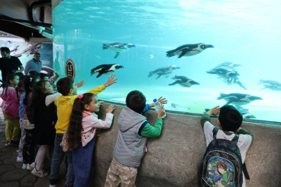 Bursa'da çocuklara hayvan sevgisi aşılandı