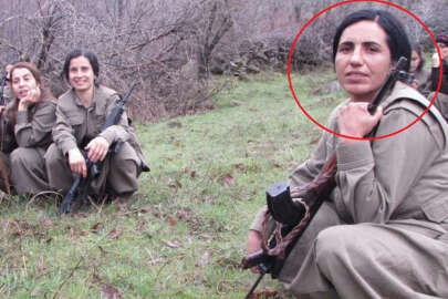 MİT'ten nokta operasyon! Sözde Toplumsal Alan Sorumlusu etkisiz...