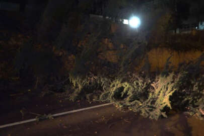 Fırtına Bursa'yı yıktı geçti...Çatıları uçurdu, ağaçlar yıktı