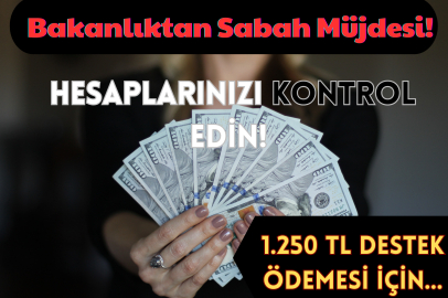Bakanlıktan Sabah Müjdesi! Hesaplarınızı Kontrol Edin! 1.250 TL Destek Ödemesi için...