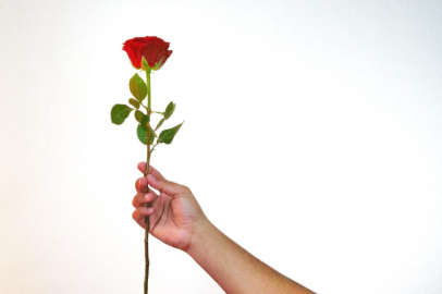 Rüyada Gül Verdiğini Görmek: Rüyada Gül Verdiğini Görmek Neye İşaret? Rüyamda Gül Verdiğimi Gördüm!