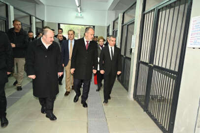 Büyükşehirden can dostlara modern yeni yuva