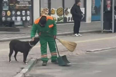 Bursa'da gülümseten anlar kamerada...
