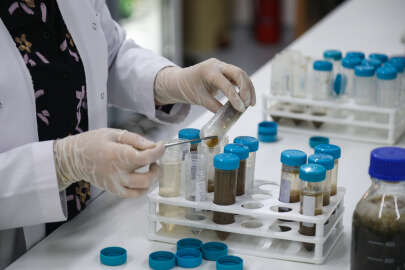 BTÜ’lü öğrencilerden büyük başarı