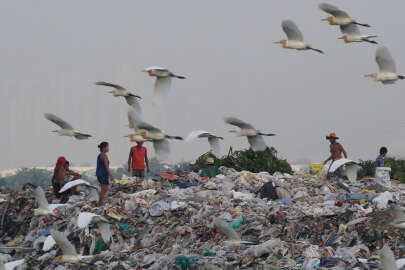 BM: “Dünyada her gün 1 milyar öğün israf ediliyor”