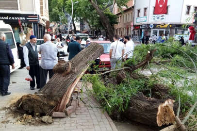 Bursa'da seyir halindeki otomobilin üzerine ağaç devrildi