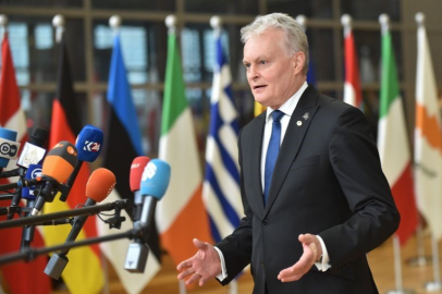Litvanya devlet başkanlığı seçimleri ikinci tura kaldı